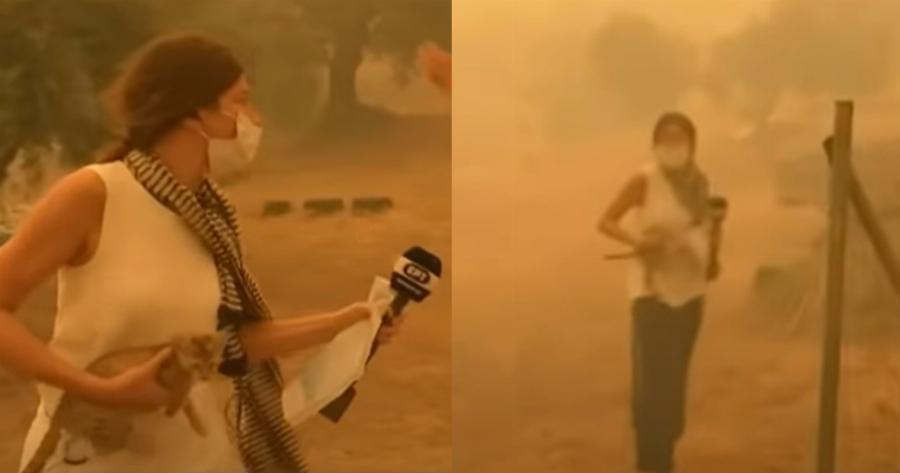 Εύβοια: Ρεπόρτερ της ΕΡΤ σώζει live γατάκι μέσα από τις φλόγες