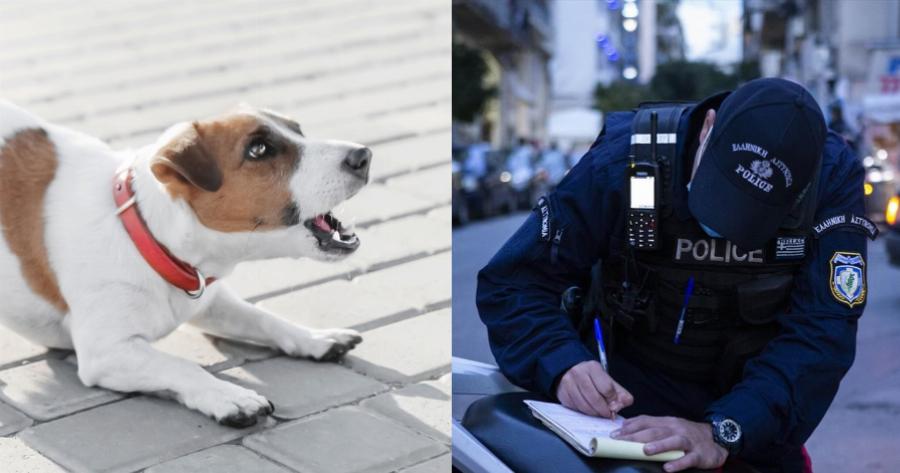 Ώρα κοινής ησυχίας για τα κατοικίδια: Ποια θα είναι τα πρόστιμα στους ιδιοκτήτες των τετράποδων που γαβγίζουν