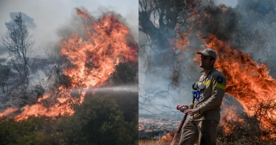 Οι φλόγες «γλείφουν» τα σπίτια! Τουλάχιστον 2,5 χλμ το πύρινο μέτωπο –  Εκκενώνονται Βίλια και Προφήτης Ηλίας