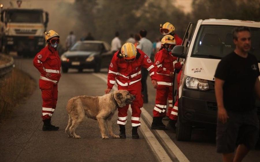 Ήρωας της Βαρυμπόμπης: Ο εθελοντής ντελιβεράς που πάλεψε με τις φλόγες για να βοηθήσει πυροσβέστες και πυρόπληκτους