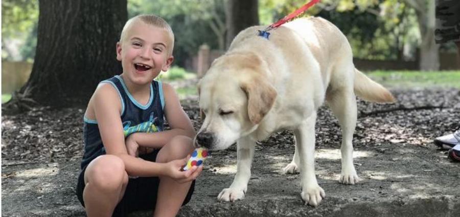 Αγοράκι 7 ετών έσωσε πάνω από 1.400 Σκυλιά και ανακηρύχτηκε ως «Παιδί της Χρονιάς»