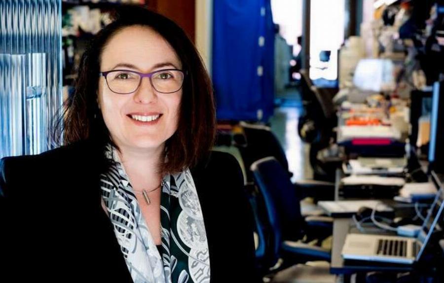 Κατερίνα Ακασόγλου: Η Ελληνίδα ερευνήτρια που νικά τη σκλήρυνση κατά πλάκας