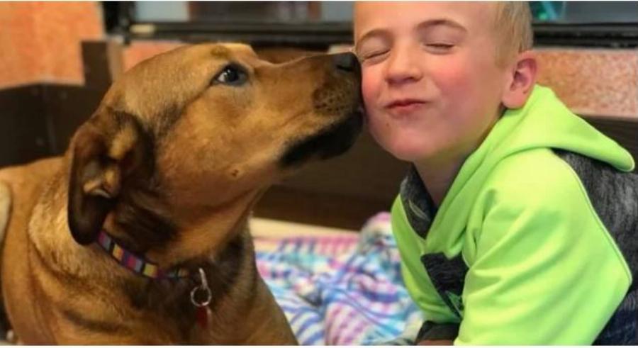 Αγοράκι 7 ετών έσωσε πάνω από 1.400 Σκυλιά και ανακηρύχτηκε ως «Παιδί της Χρονιάς»