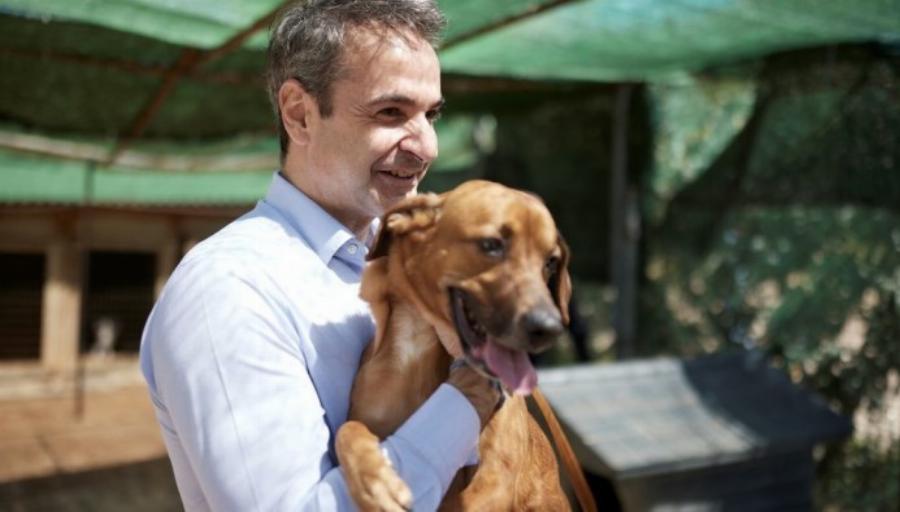 Κυριάκος Μητσοτάκης: «Κανένα ζώο αδέσποτο, κανένα ζώο κακοποιημένο»