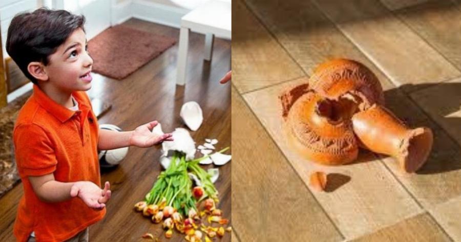 «Τα ανίψια μου, μου έσπασαν ένα ακριβό βάζο. Να ζητήσω τα λεφτά απ’ την αδερφή μου;»