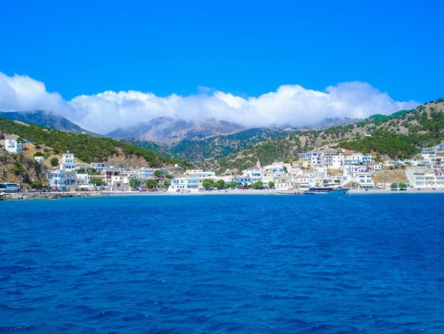 Διαφάνι – “Άγριες Μέλισσες”: Υπάρχει στα αλήθεια και βρίσκεται σε ελληνικό νησί