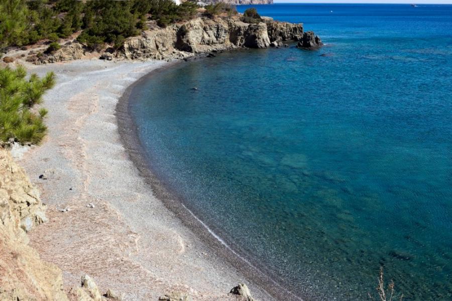 Διαφάνι – “Άγριες Μέλισσες”: Υπάρχει στα αλήθεια και βρίσκεται σε ελληνικό νησί