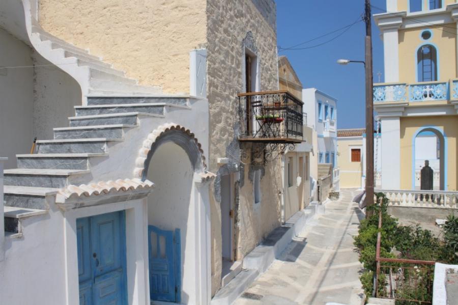 Διαφάνι – “Άγριες Μέλισσες”: Υπάρχει στα αλήθεια και βρίσκεται σε ελληνικό νησί