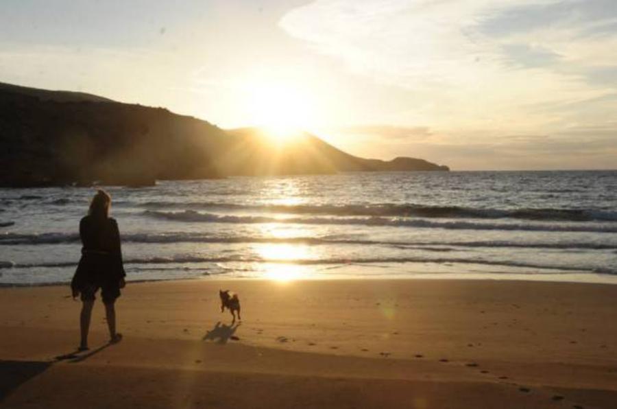 Ερωτευμένο ζευγάρι παράτησε τη ζωή στην πόλη: Κωστής και Ευτυχία μένουν στη Γαύδο χωρίς ρεύμα