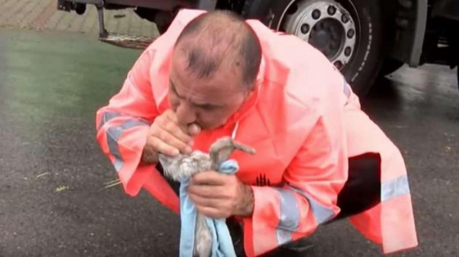 Άνδρας έσωσε ένα γατάκι, χαρίζοντας του το φιλί της ζωής