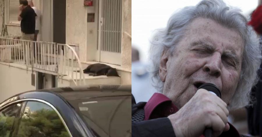 Εικόνες συγκίνησης: Ο σκύλος του Μίκη Θεοδωράκη πενθεί για το αφεντικό του