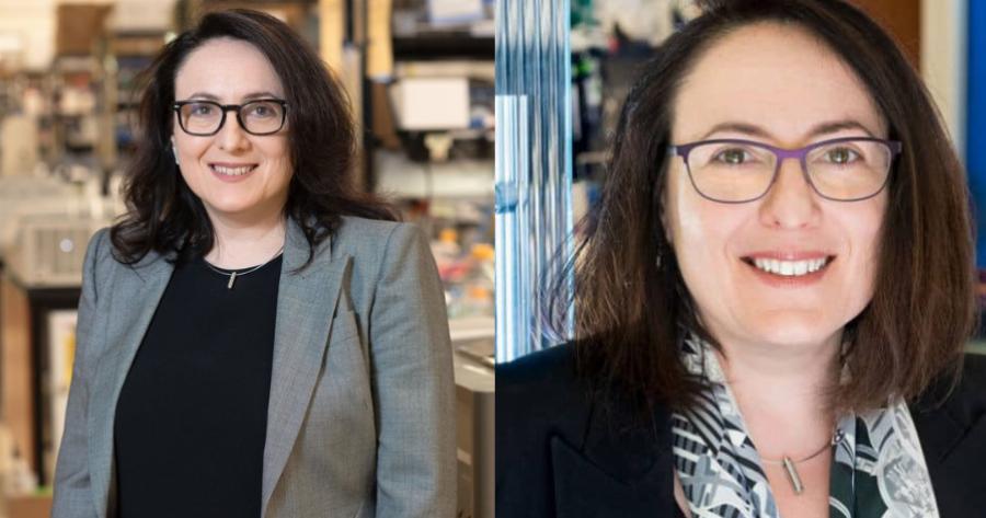 Κατερίνα Ακασόγλου: Η Ελληνίδα ερευνήτρια που νικά τη σκλήρυνση κατά πλάκας