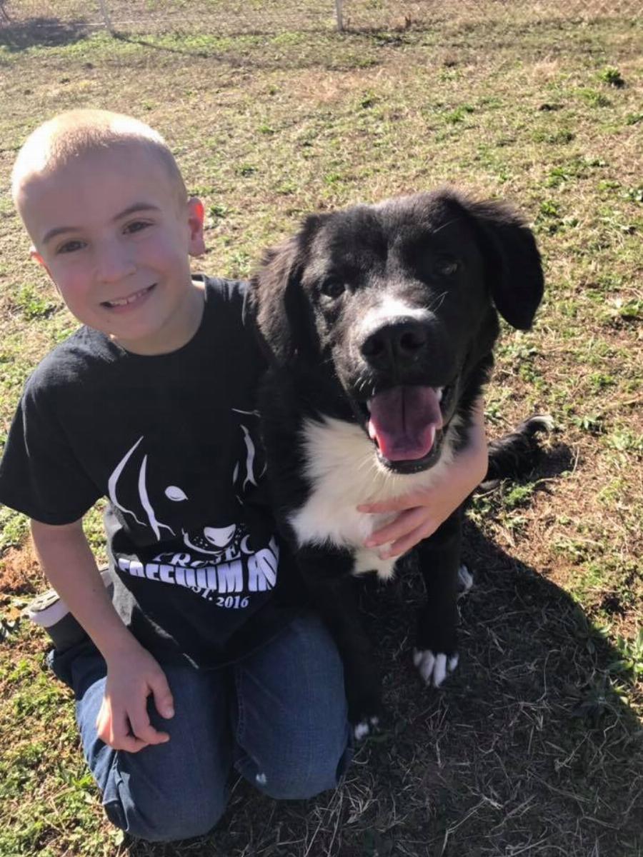 Αγοράκι 7 ετών έσωσε πάνω από 1.400 Σκυλιά και ανακηρύχτηκε ως «Παιδί της Χρονιάς»