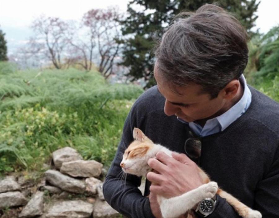 Κυριάκος Μητσοτάκης: «Κανένα ζώο αδέσποτο, κανένα ζώο κακοποιημένο»