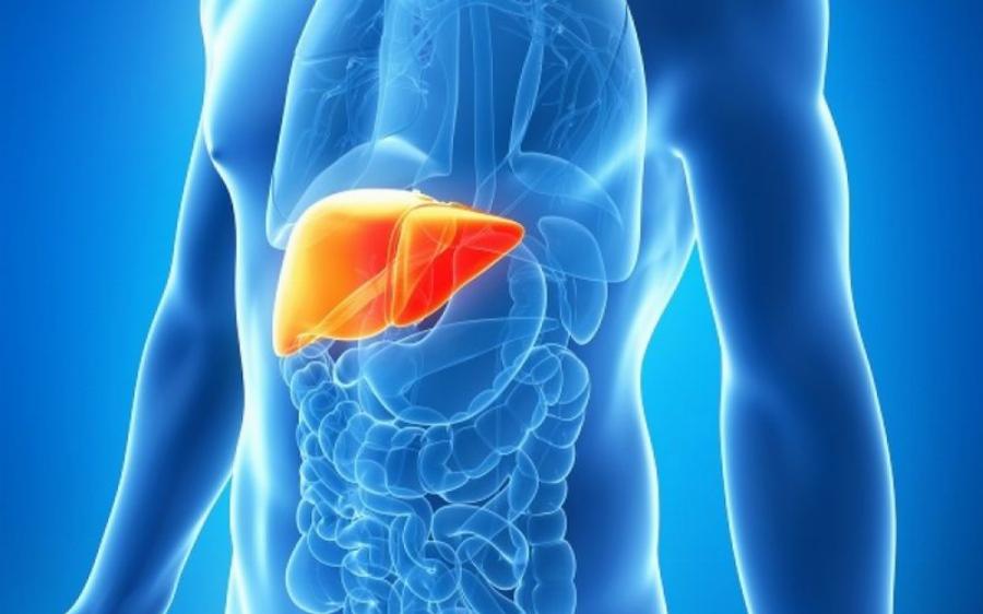 9 Τροφές που αποτοξινώνουν το συκώτι και 5 που το καταστρέφουν