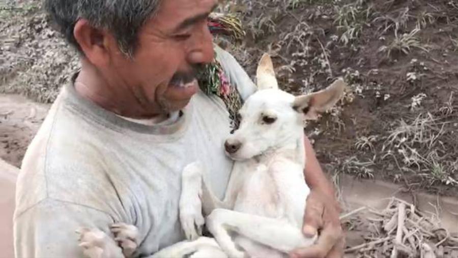 Γύρισε σπίτι εν μέσω έκρηξης ηφαιστείου για να σώσει το σκυλί του