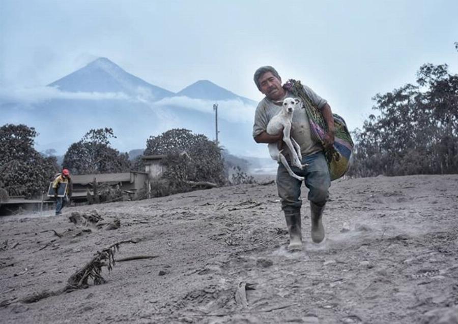 Γύρισε σπίτι εν μέσω έκρηξης ηφαιστείου για να σώσει το σκυλί του