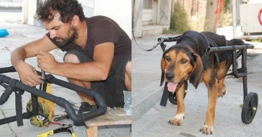 Βασίλης Τζιγκούρας: Ο Έλληνας υδραυλικός που βοηθάει τα ανάπηρα σκυλάκια να ξαναπερπατήσουν
