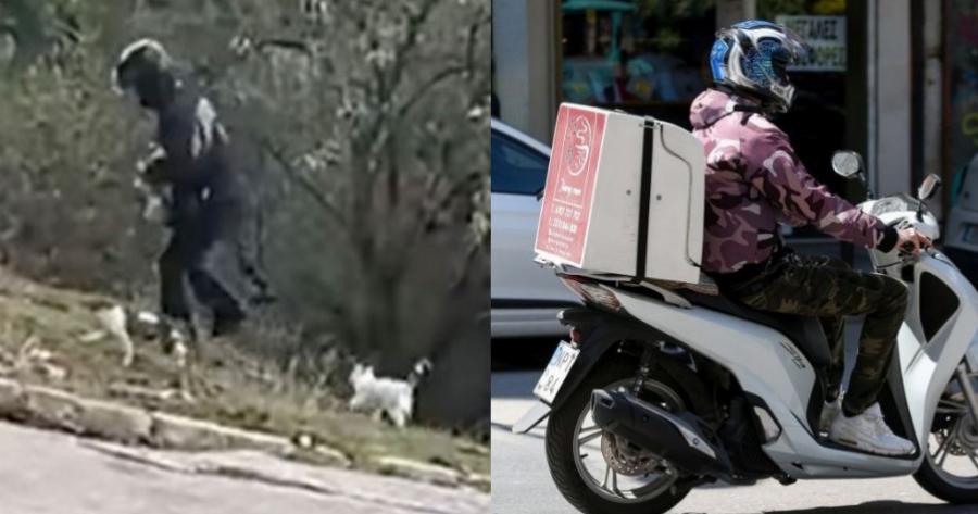 Διανομέας κάθε πρωί και βράδυ περνάει από το σημείο και ταΐζει αδέσποτα γατάκια