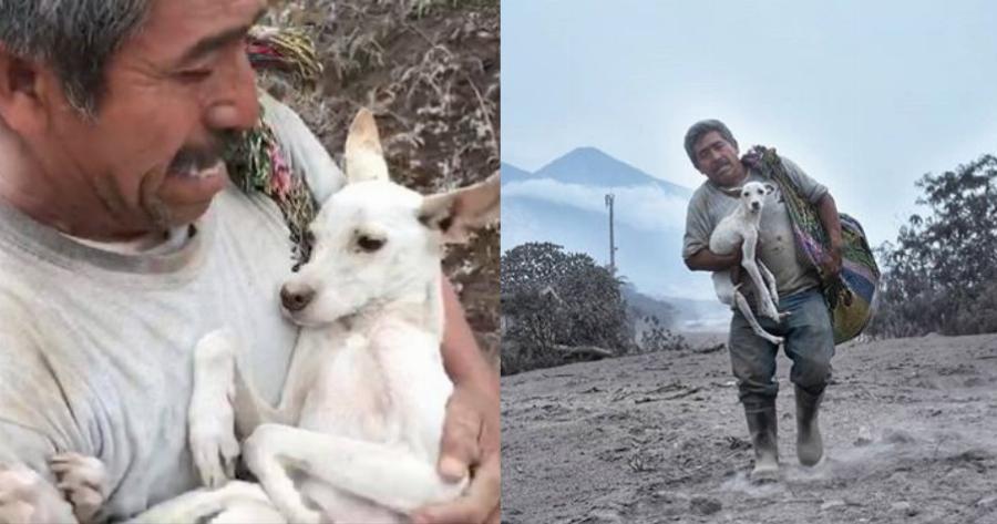 Γύρισε σπίτι εν μέσω έκρηξης ηφαιστείου για να σώσει το σκυλί του