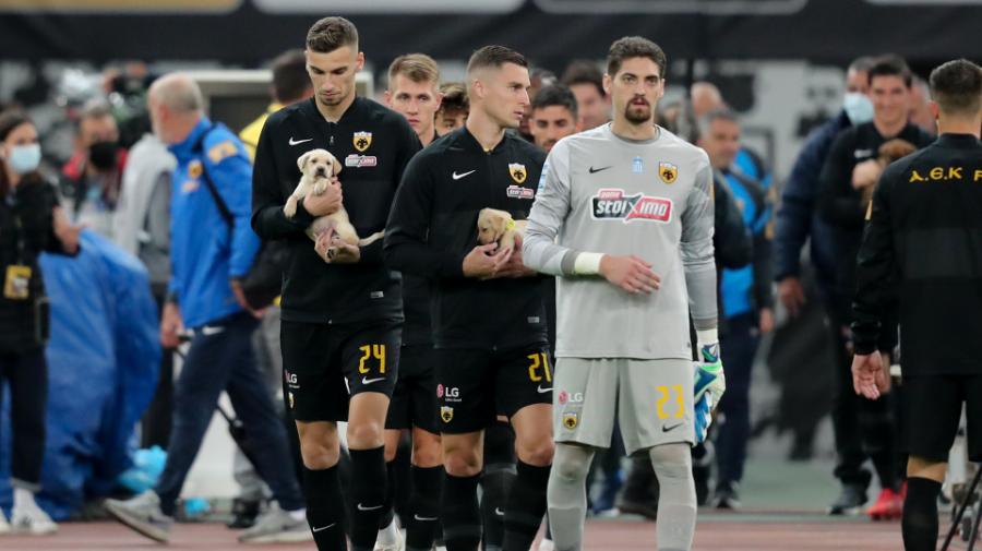 Μήνυμα για υιοθεσία ζώων από τους παίκτες της ΑΕΚ: Μπήκαν στο ΟΑΚΑ με αδέσποτα κουτάβια