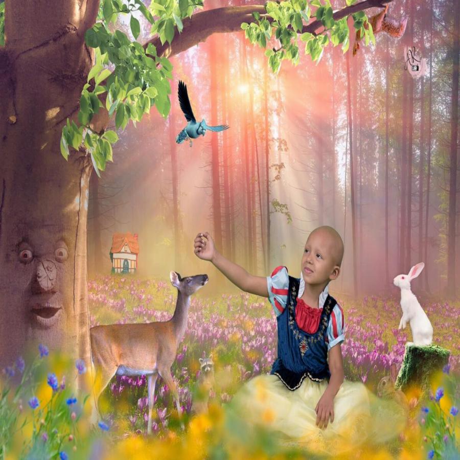 5χρονη με καρκίνο φωτογραφίζεται σαν πριγκίπισσα της Disney και στέλνει μήνυμα δύναμης