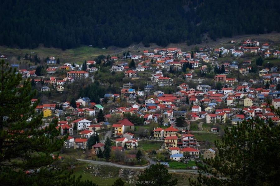 Μέγα Θαύμα: 100 χρονών δέντρο μεγαλώνει μέσα στο ιερό εκκλησίας στα Γρεβενά