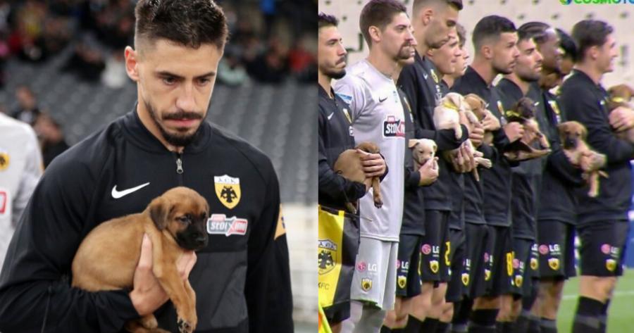 Μήνυμα για υιοθεσία ζώων από τους παίκτες της ΑΕΚ: Μπήκαν στο ΟΑΚΑ με αδέσποτα κουτάβια