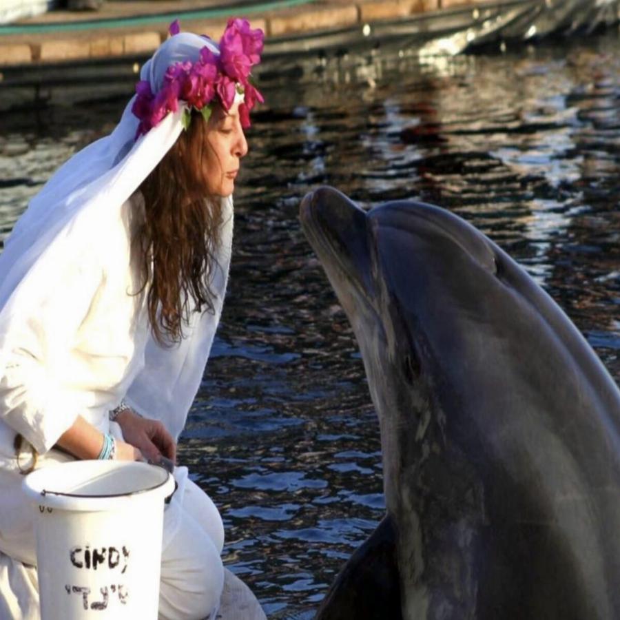 «Είμαι μονογαμική, δεν θα ξαναπαντρευτώ»: Γυναίκα παντρεύτηκε δελφίνι κι έμεινε χήρα