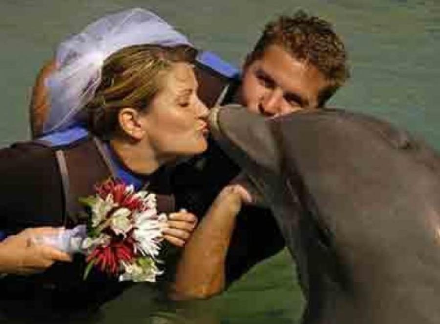 «Είμαι μονογαμική, δεν θα ξαναπαντρευτώ»: Γυναίκα παντρεύτηκε δελφίνι κι έμεινε χήρα