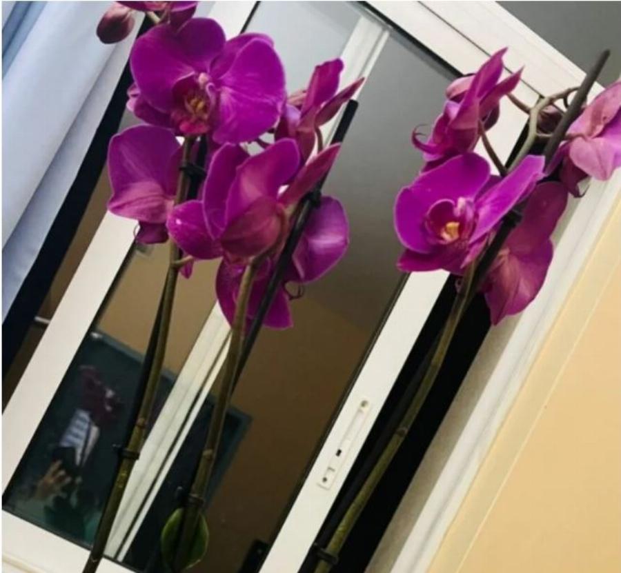 Η πρώτη ανάρτηση του Μένιου Φουρθιώτη μετά την αποφυλάκιση και οι δύο λέξεις όλο νόημα