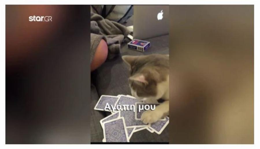 Δολοφονία στα Γλυκά Νερά: Για πρώτη φορά στη δημοσιότητα τα βίντεο από το κινητό του συζυγοκτόνου