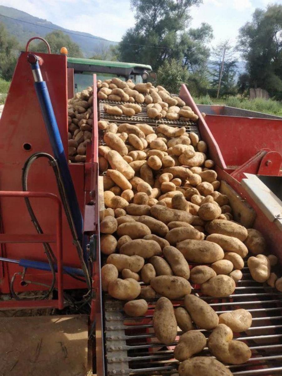 Ο αγρότης από την Καστοριά που χάρισε σε άπορους 25 τόνους πατάτας