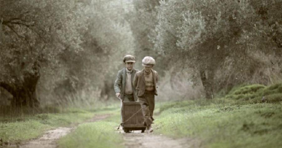 Ένα εκπληκτικό φιλμ για μια ελληνική παράδοση αιώνων – Το μάζεμα της ελιάς