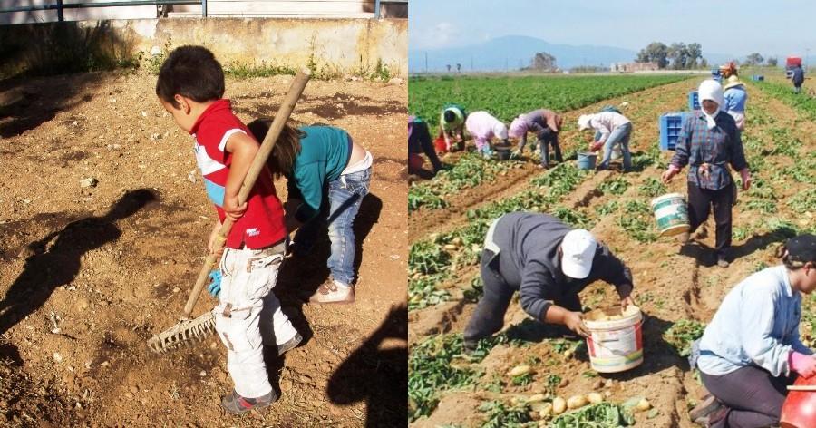 Ντροπή είναι τα επιδόματα και όχι η δουλειά: Τα ελληνόπουλα να πάνε για δουλειά στα χωράφια