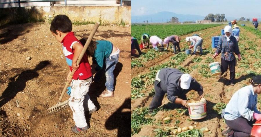Ντροπή είναι τα επιδόματα και όχι η δουλειά: Τα ελληνόπουλα να πάνε για δουλειά στα χωράφια