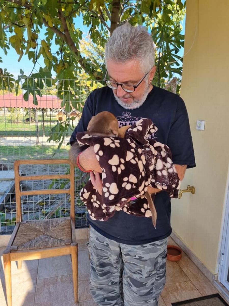 Στάθης Παναγιωτόπουλος: Υιοθέτησε ένα κουταβάκι που είχε βρεθεί στα σκουπίδια στις Σέρρες