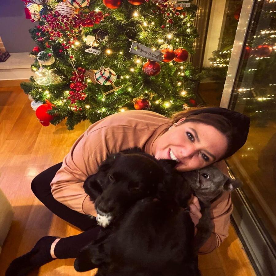 Τα Χριστούγεννα έφτασαν: 10 διάσημοι Έλληνες που στόλισαν νωρίς – Τα Χριστουγεννιάτικα δέντρα και οι οικογενειακές φωτογραφίες