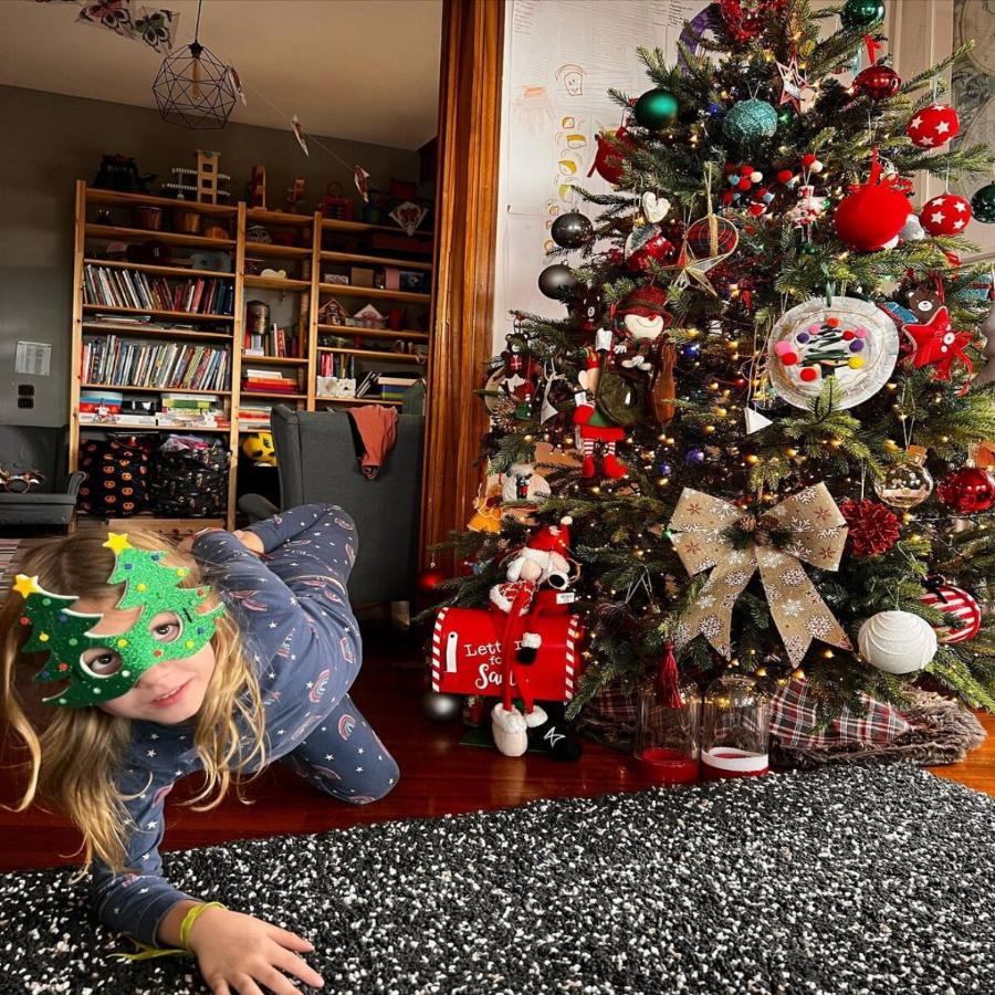 Τα Χριστούγεννα έφτασαν: 10 διάσημοι Έλληνες που στόλισαν νωρίς – Τα Χριστουγεννιάτικα δέντρα και οι οικογενειακές φωτογραφίες