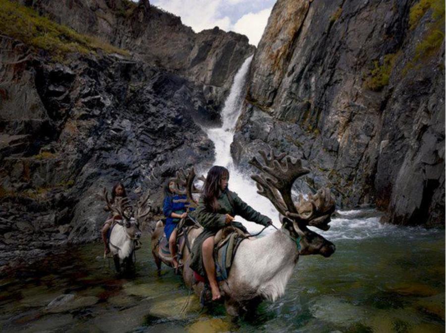 Φωτογράφος αιχμαλωτίζει την ομορφιά μιας από τις πιο σπάνιες φυλές της Μογγολίας