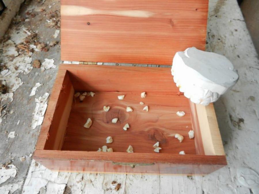 Γιατί επιβάλλεται να κρατάμε τα πρώτα δόντια των παιδιών μας