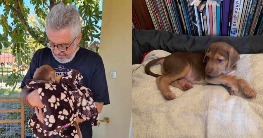 Στάθης Παναγιωτόπουλος: Υιοθέτησε ένα κουταβάκι που είχε βρεθεί στα σκουπίδια στις Σέρρες