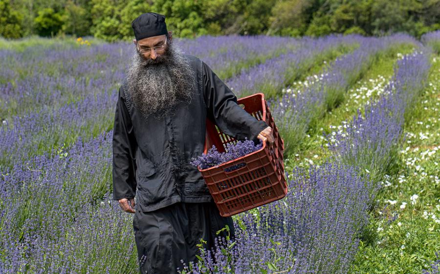 Άγιο Όρος: Ολόκληρη η αλήθεια τα 60 διακονήματα των μοναχών