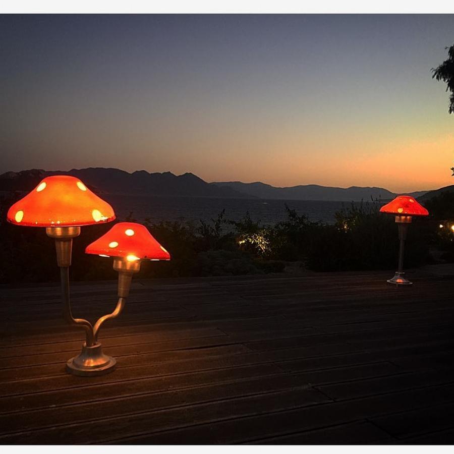 Το εντυπωσιακό σπίτι της Σμαράγδας Καρύδη και του Θοδωρή Αθερίδη στην Αίγινα: Το μπαλκόνι με τη μαγευτική θέα