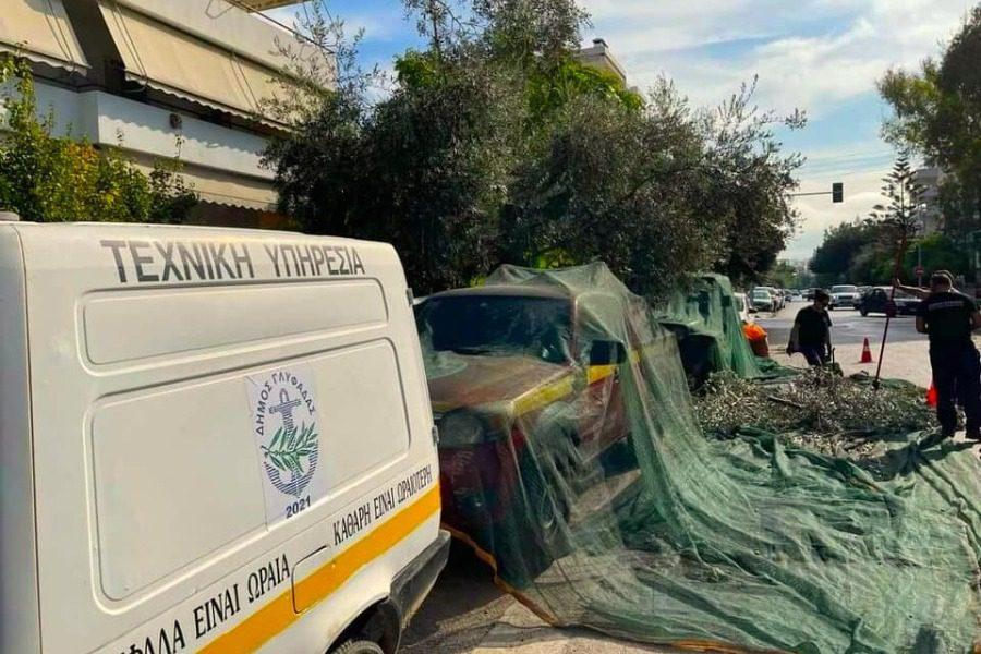 Γλυφάδα: Κάνουν λιομάζωμα στους δρόμους και βγάζουν ελαιόλαδο