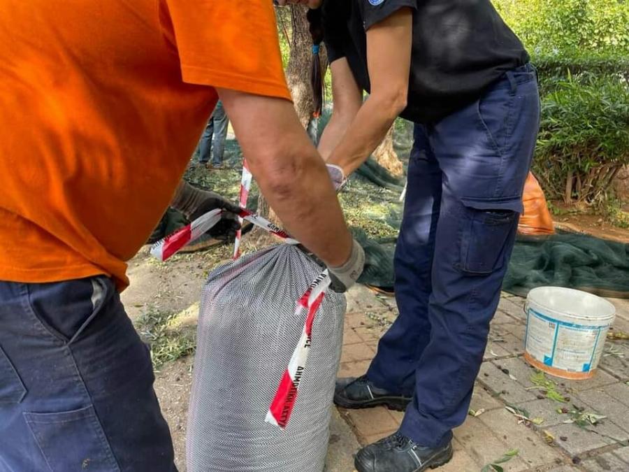 Γλυφάδα: Κάνουν λιομάζωμα στους δρόμους και βγάζουν ελαιόλαδο