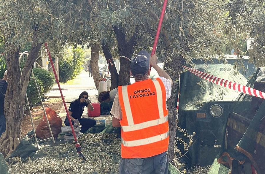 Γλυφάδα: Κάνουν λιομάζωμα στους δρόμους και βγάζουν ελαιόλαδο