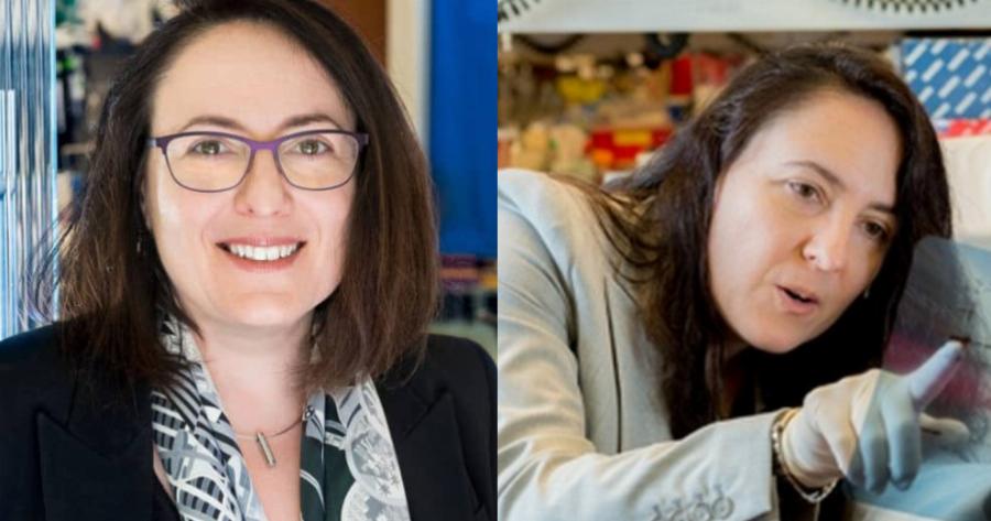 Διεθνής βράβευση για Ελληνίδα γιατρό: Τιμάται για  καινοτομία στην έρευνα της σκλήρυνσης κατά πλάκας