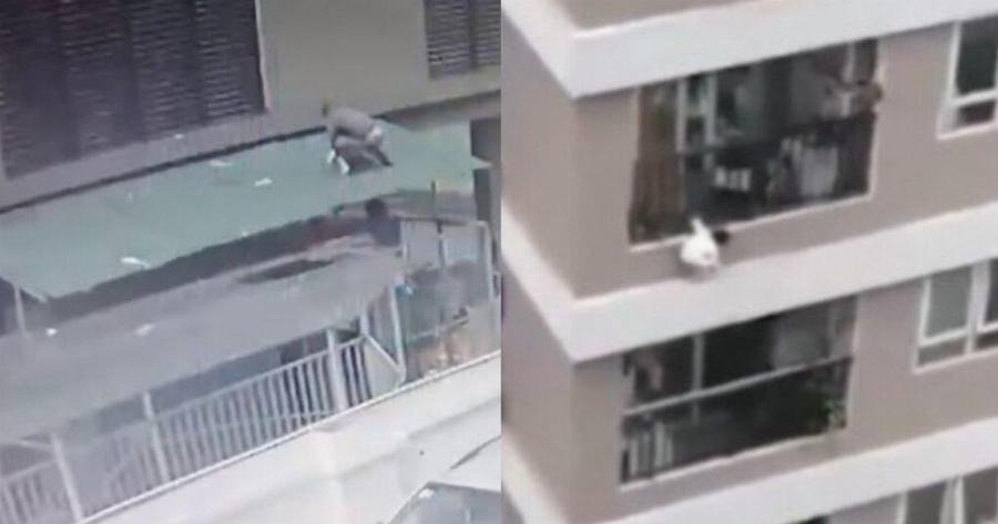 Ήρωας Ντελιβεράς: Έπιασε στον αέρα παιδί που έπεφτε από τον 12ο όροφο