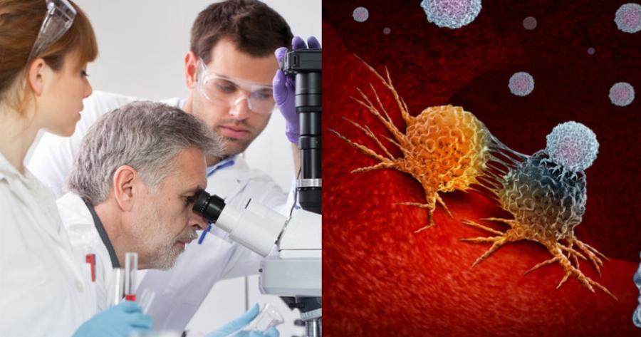 Τρέφουν τα καρκινικά κύτταρα: 10 τροφές που καταναλώνουμε καθημερινά